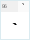 Geo_Kolkheti Bold: `